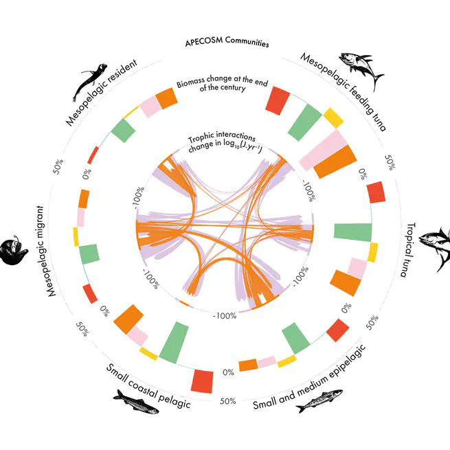 Poster : Modeling the Future of Ocean Ecosystems in a Changing Climat